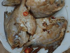 -大班家政月嫂育儿嫂(深圳NO.1店)