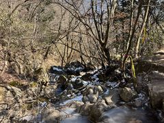 -安吉龙王山风景区