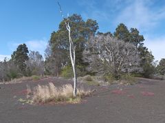 -夏威夷火山国家公园
