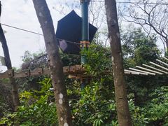 -芦仙山景区-飞越丛林探险乐园