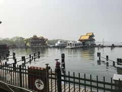 -西湖外事游船(花港观鱼码头)