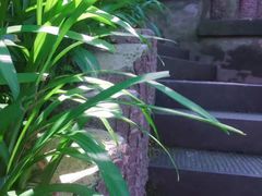 -重庆彩云湖湿地公园