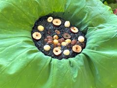 -苏梦江南·淮扬菜(夫子庙店)