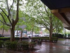 -布瑞琳洗衣(万柳书院店)