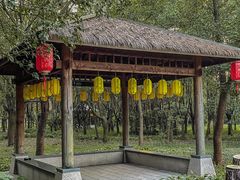 -同里国家湿地公园