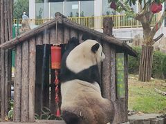 -大连森林动物园