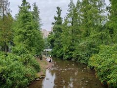 -重庆彩云湖湿地公园
