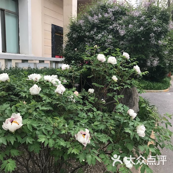 青海省胜利宾馆图片