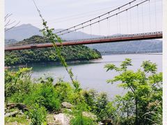 -酒仙湖景区
