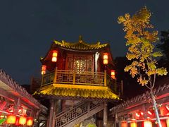 -小龙翻大江文化火锅(宽窄店)