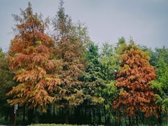 -同里国家湿地公园