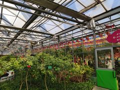 -南宫五洲植物乐园