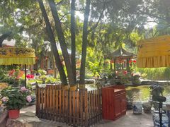 -白家大院·王府宫廷菜(苏州街店)