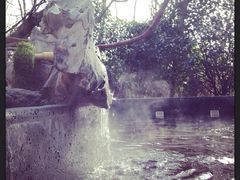 紫清湖生态旅游温泉度假区-南京汤山紫清湖生态旅游温泉度假区