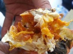 -丫丫蟹庄·苏式园林农家乐·阳澄湖大闸蟹(阳澄湖莲花岛店)