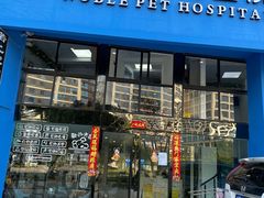-诺比宠物医院心脏内科·泌尿肾内外科·骨科急重症