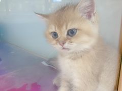 -乐宠宠物店(世纪金源店)