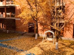 -华东师范大学第二附属中学(张江校区)