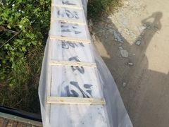 -东北师范大学附属中学(自由校区)