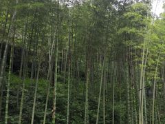 -黄公望隐居地