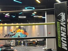-Super Sy泰拳格斗