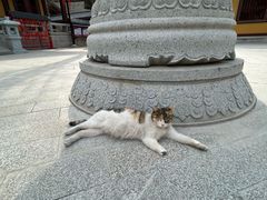-四门塔风景区