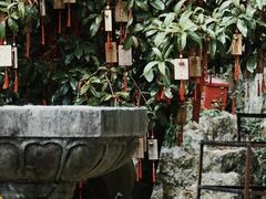 -大慈岩风景区