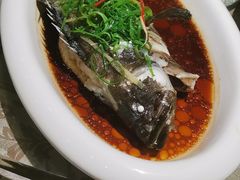 -新兴·金羊座·粤菜点心(乐峰店)