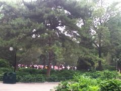 -紫竹院公园冰场