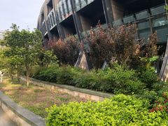 -上海滴水湖皇冠假日酒店