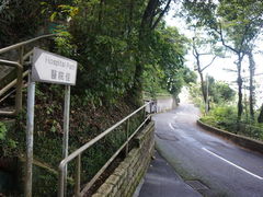 -太平山顶