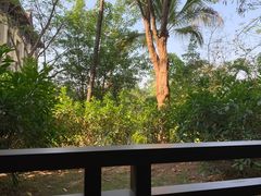 -西双版纳融创皇冠假日度假酒店