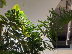 -卡朋西餐(宝安大仟里店)