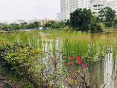 -松坪山公园