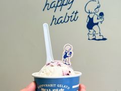 -海比甜店·意式手工冰激淋happy habit gelato