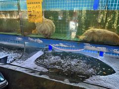 -坛南湾阿强农家乐.海鲜大排档老字号(福州地标美食店)