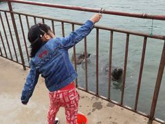 -西霞口神雕山野生动物世界