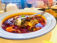 -大铁勺新津菜(东丽阳光新业广场店)