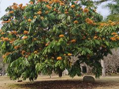 -中国科学院西双版纳热带植物园