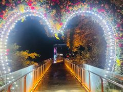 -巴倒烫陆派火锅山庄(南山总店)