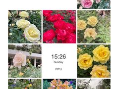 -人民公园(罗湖区)