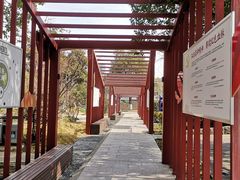 -徐家汇源景区-衡山公园