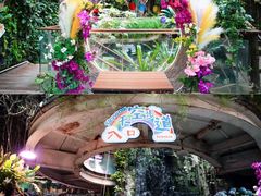 -正佳雨林生态植物园