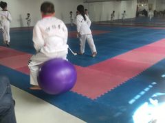 -陈中跆拳道(中关村馆)