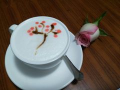 樱花树下-参差咖啡(水果湖公园店)