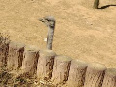 -石家庄市动物园