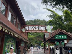 -野象谷景区
