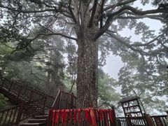 -秦岭终南山世界地质公园翠华山景区