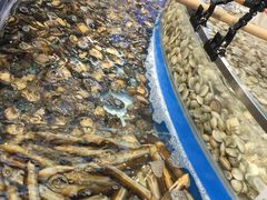 -神农美特好生鲜超市(康宁街店)