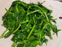 清炒豆尖-云之南(八里庄店)